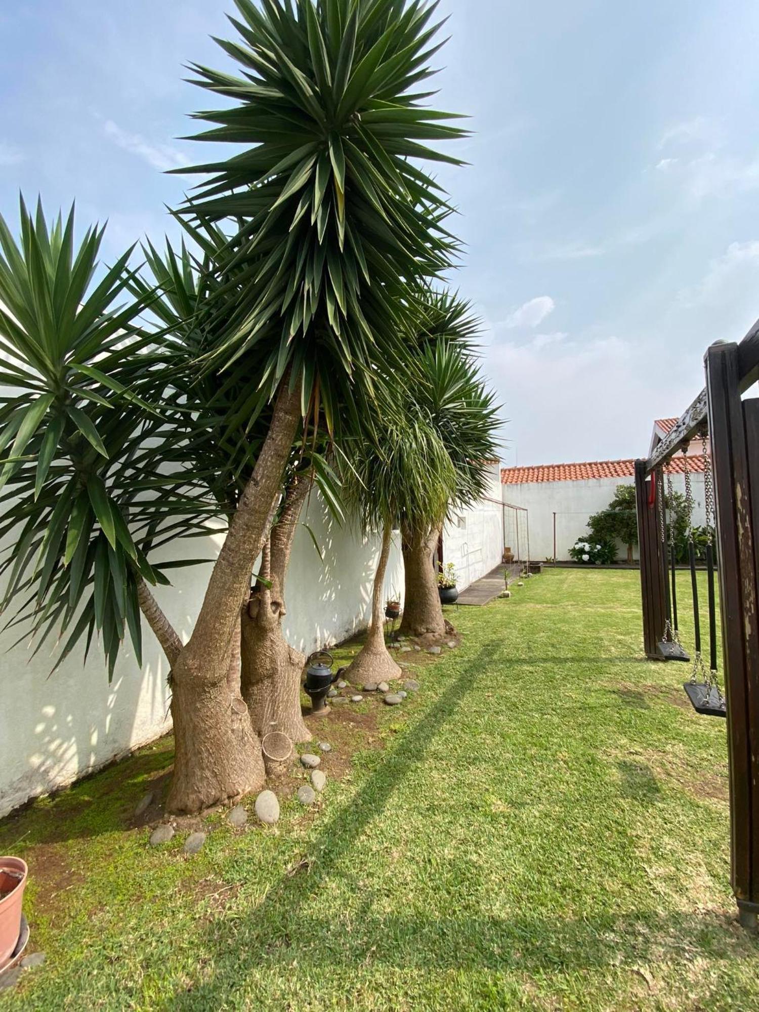 Apartamentos Sao Joao Horta  Ngoại thất bức ảnh